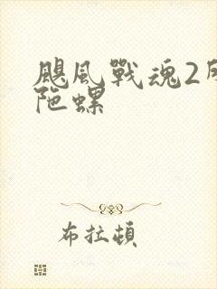 飓风战魂2所有陀螺