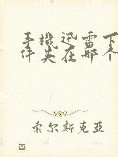 手机迅雷下载文件夹在哪个文件夹