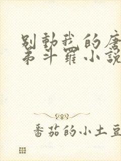 别动我的唐三弟弟斗罗小说