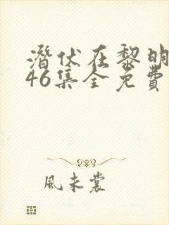 潜伏在黎明之前46集全免费