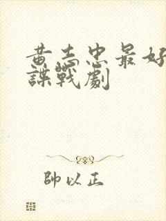 黄志忠最好看的谍战剧