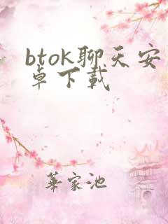 btok聊天安卓下载