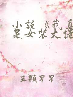 小说 《我真不是女装大佬》