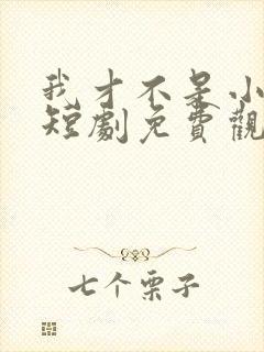 我才不是小可怜短剧免费观看全集