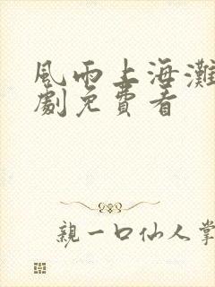 风雨上海滩电视剧免费看