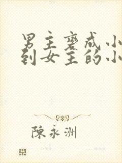 男主变成小孩遇到女主的小说