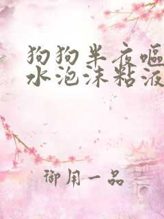 狗狗半夜呕吐黄水泡沫粘液吃什么药