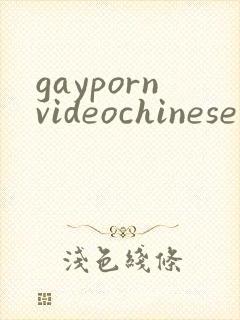 gaypornvideochinese