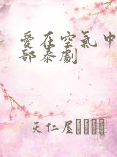 爱在空气中第二部泰剧