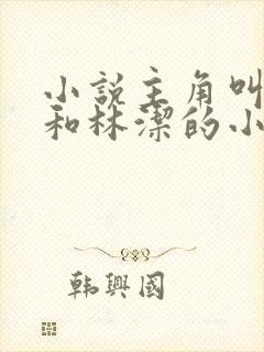 小说主角叫秦齐和林洁的小说