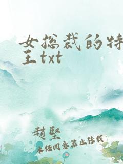 女总裁的特战兵王txt