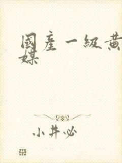 国产一级黄色传媒