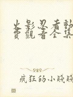 火影忍者动漫免费观看全集