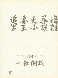 追妻火葬场的双男主小说推荐