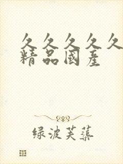 久久久久久91精品国产