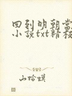 回到明朝当王爷小说txt精校版