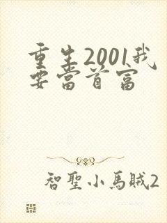 重生2001我要当首富