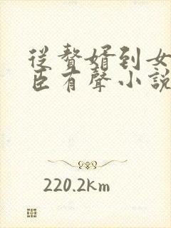 从赘婿到女帝宠臣有声小说