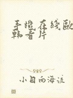 手机在线欧美日韩看片