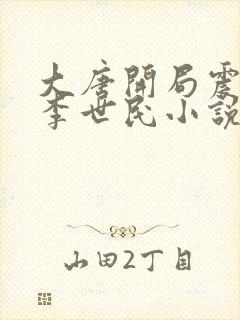 大唐开局震惊了李世民小说免费阅读