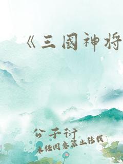 《三国神将传》