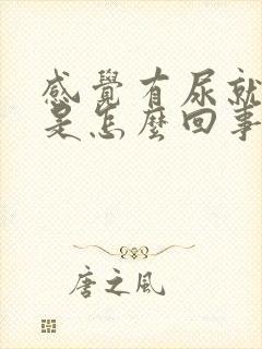 感觉有尿就漏尿是怎么回事