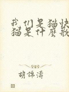 我们是猫快乐的猫是什么歌