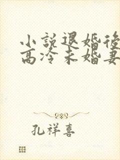 小说退婚后我的高冷未婚妻后悔了主角