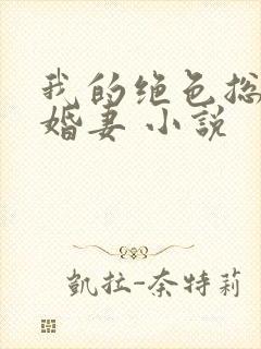 我的绝色总裁未婚妻 小说