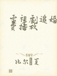 电视剧追婚记免费播放