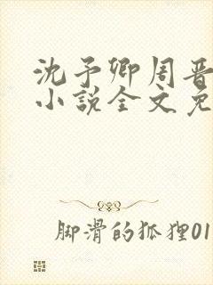 沈予卿周晋年的小说全文免费阅读