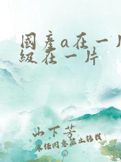 国产a在一片一级在一片