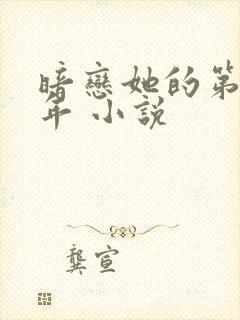 暗恋她的第十一年 小说