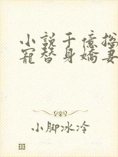 小说千亿总裁独宠替身娇妻