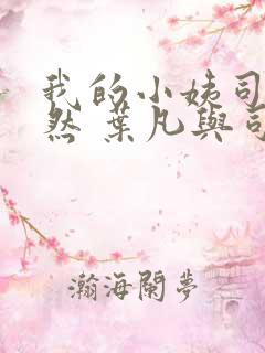 我的小姨司空嫣然 叶凡与司空嫣然章节