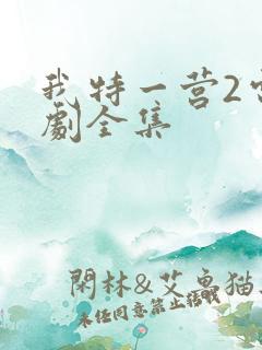 我特一营2电视剧全集