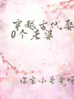 穿越古代娶了10个老婆