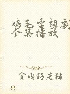 鸡毛电视剧免费全集播放