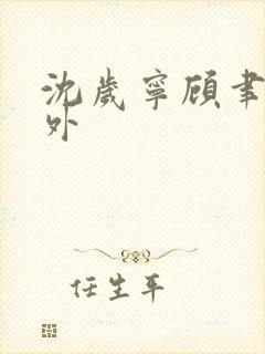 沈岁宁顾聿礼番外