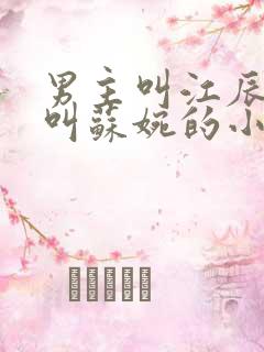 男主叫江辰女主叫苏婉的小说