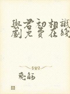 与君初相识电视剧免费在线观看完