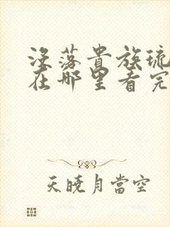 没落贵族琉璃川在哪里看完整版