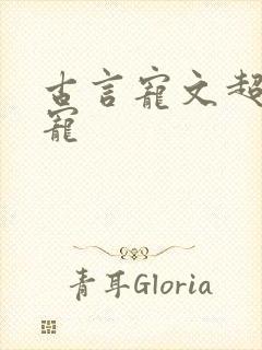 古言宠文超宠甜宠