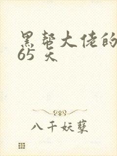 黑帮大佬的 365 天