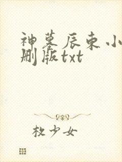 神墓辰东小说未删版txt