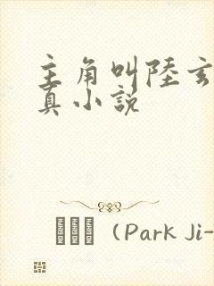 主角叫陆玄的修真小说