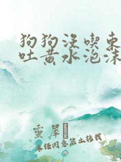 狗狗没吃东西呕吐黄水泡沫粘液