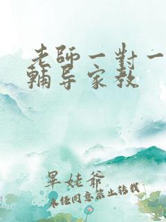 老师一对一上门辅导家教