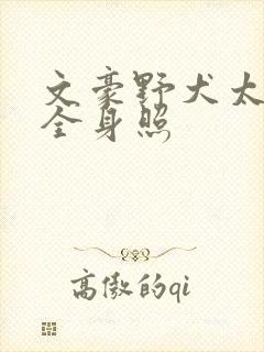 文豪野犬太宰治全身照