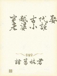 穿越古代娶三个老婆小说